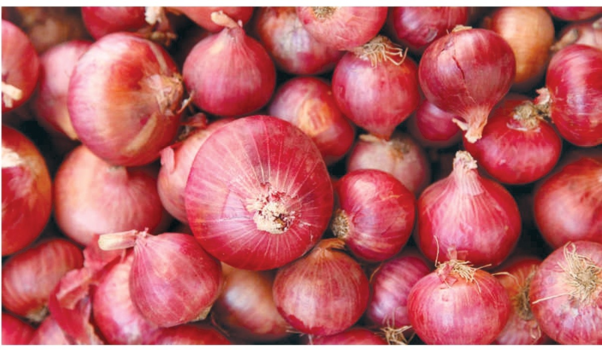 price-of-onion-falls-as-supply-from-india-resumes